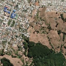 Quirihue map(satellite map)