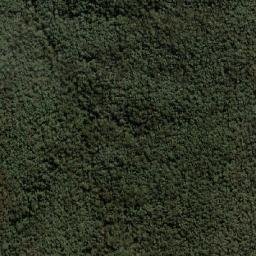 Towong map(satellite map)