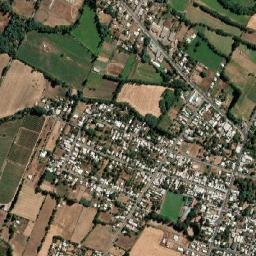 Pinto map(satellite map)