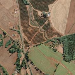 Pemuco map(satellite map)