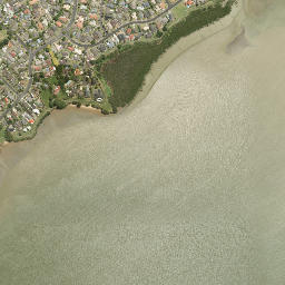 Takanini map(satellite map)