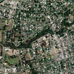Alexandra map(satellite map)