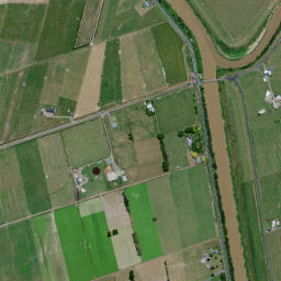 Ngatea map(satellite map)