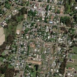 Trentham map(satellite map)
