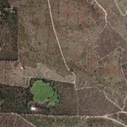Mount Clear map(satellite map)