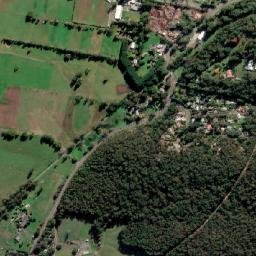 Millgrove map(satellite map)