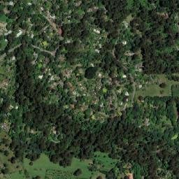 Sassafras map(satellite map)