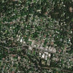 Tecoma map(satellite map)