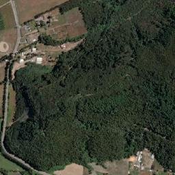 Contulmo map(satellite map)