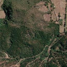 Purén map(satellite map)