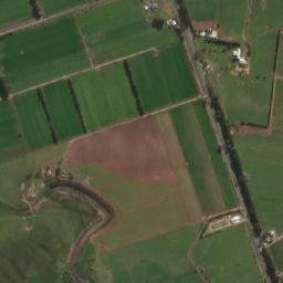 Wellington map(satellite map)