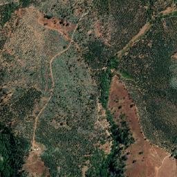 Lumaco map(satellite map)