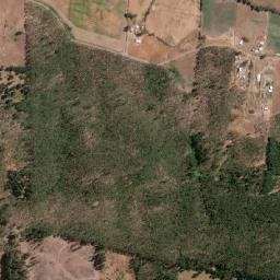 Galvarino map(satellite map)