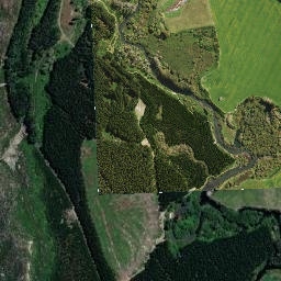 Murupara map(satellite map)