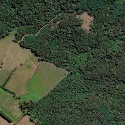 Mariquina map(satellite map)