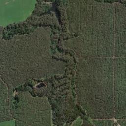 Circular Head map(satellite map)