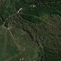 Dorset map(satellite map)