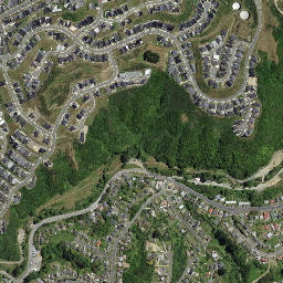 Porirua map(satellite map)