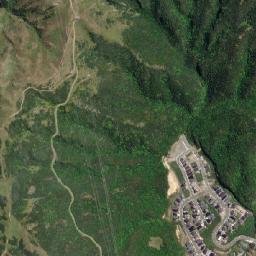 Wellington City map(satellite map)