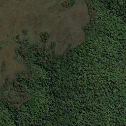 Waratah/Wynyard map(satellite map)