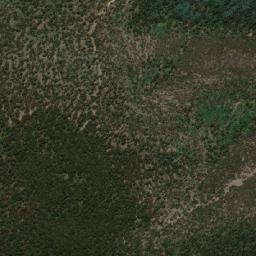 Glenorchy map(satellite map)