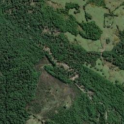 Queilén map(satellite map)