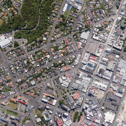 Dunedin map(satellite map)