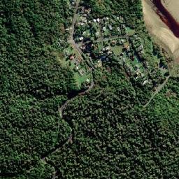 Papatowai map(satellite map)