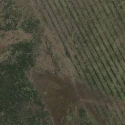 Timaukel map(satellite map)