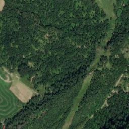 Alstahaug map(satellite map)