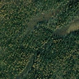 Shuryshkarskiy Rayon map(satellite map)