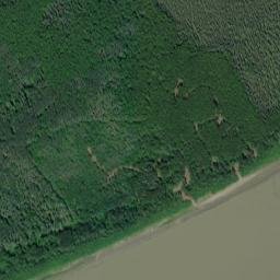 Birches Alaska High Resolution Satellite Map