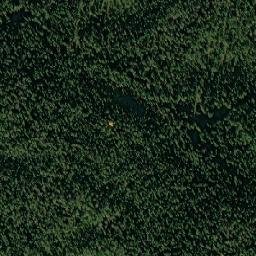 Leshukonskiy Rayon map(satellite map)