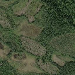 Backa map(satellite map)
