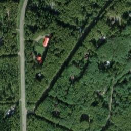 Musk Ox Alaska High Resolution Satellite Map