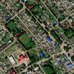 Leshukonskoye map(satellite map)