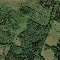 Forsbacka map(satellite map)