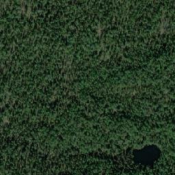 Pinezhskiy Rayon map(satellite map)