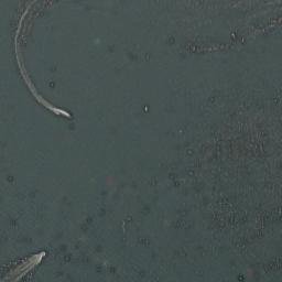 Harding Lake Alaska High Resolution Satellite Map