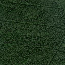 Kholmogorskiy Rayon map(satellite map)