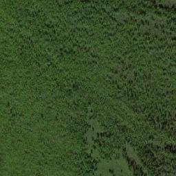Srednekanskiy Rayon map(satellite map)