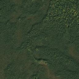 Deltana map(satellite map)