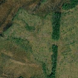 Onezhskiy Rayon map(satellite map)