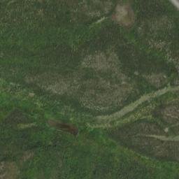 Paxson Alaska High Resolution Satellite Map