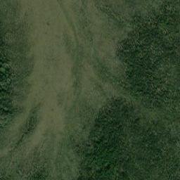 Alcan Alaska High Resolution Satellite Map