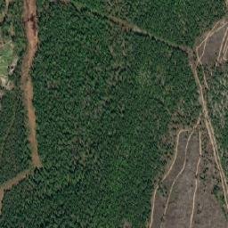 Girvas map(satellite map)