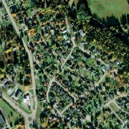 Vi map(satellite map)