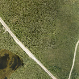 Lake Louise Alaska High Resolution Satellite Map