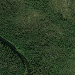 Shenkurskiy Rayon map(satellite map)