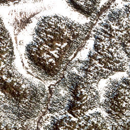 Y map(satellite map)